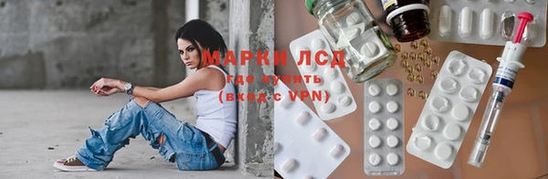 ГАЛЛЮЦИНОГЕННЫЕ ГРИБЫ Абаза