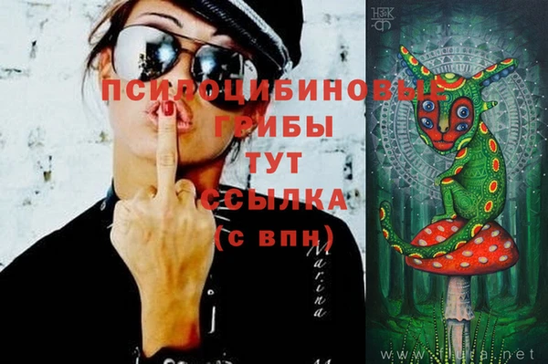 амф Нягань