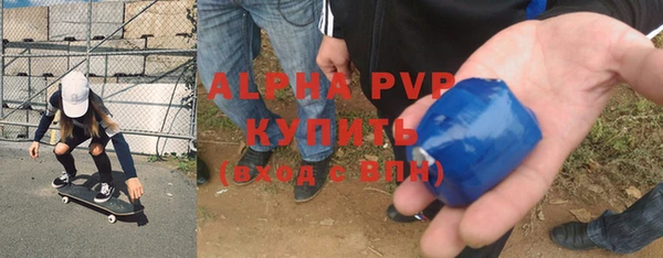 индика Алексин