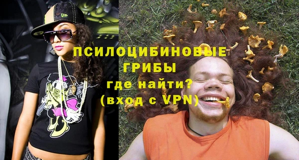 ГАЛЛЮЦИНОГЕННЫЕ ГРИБЫ Алексеевка