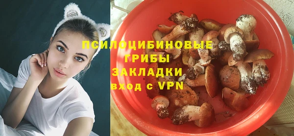 индика Алексин